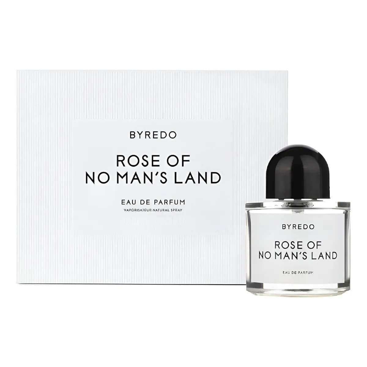 Rose of no man's land alternate view